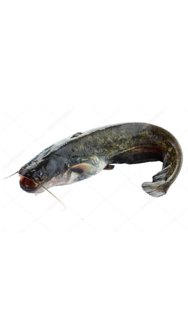 FROZEN BAG CAT FISH 500-800g £10.99